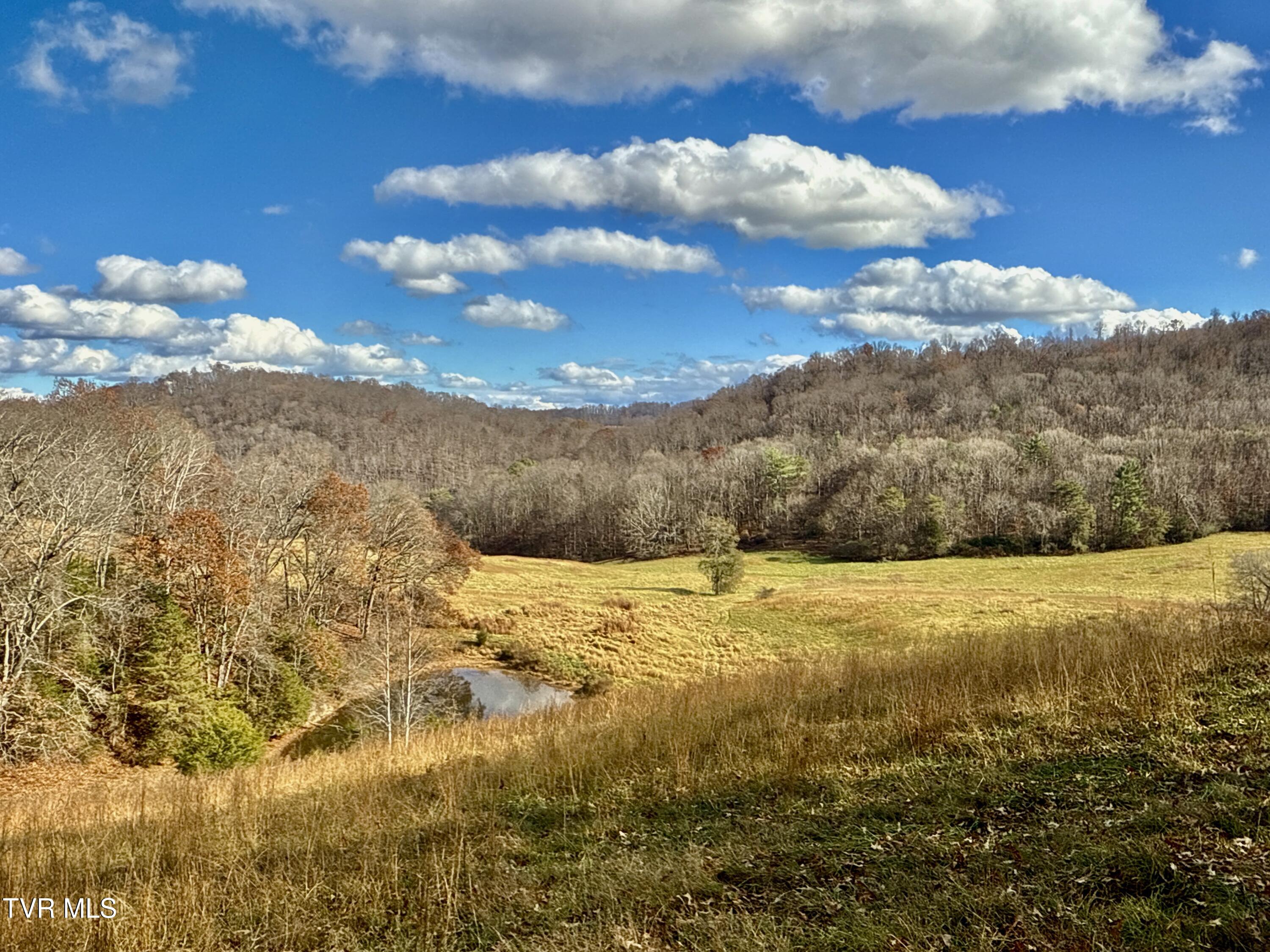 1520 Brittontown Road Afton, TN 37616 - Photo 1 of 85 _Pic1 (27)