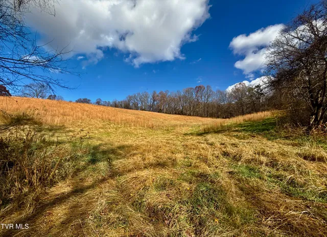 $899,900 | 1520 Brittontown Road, Afton, TN 37616