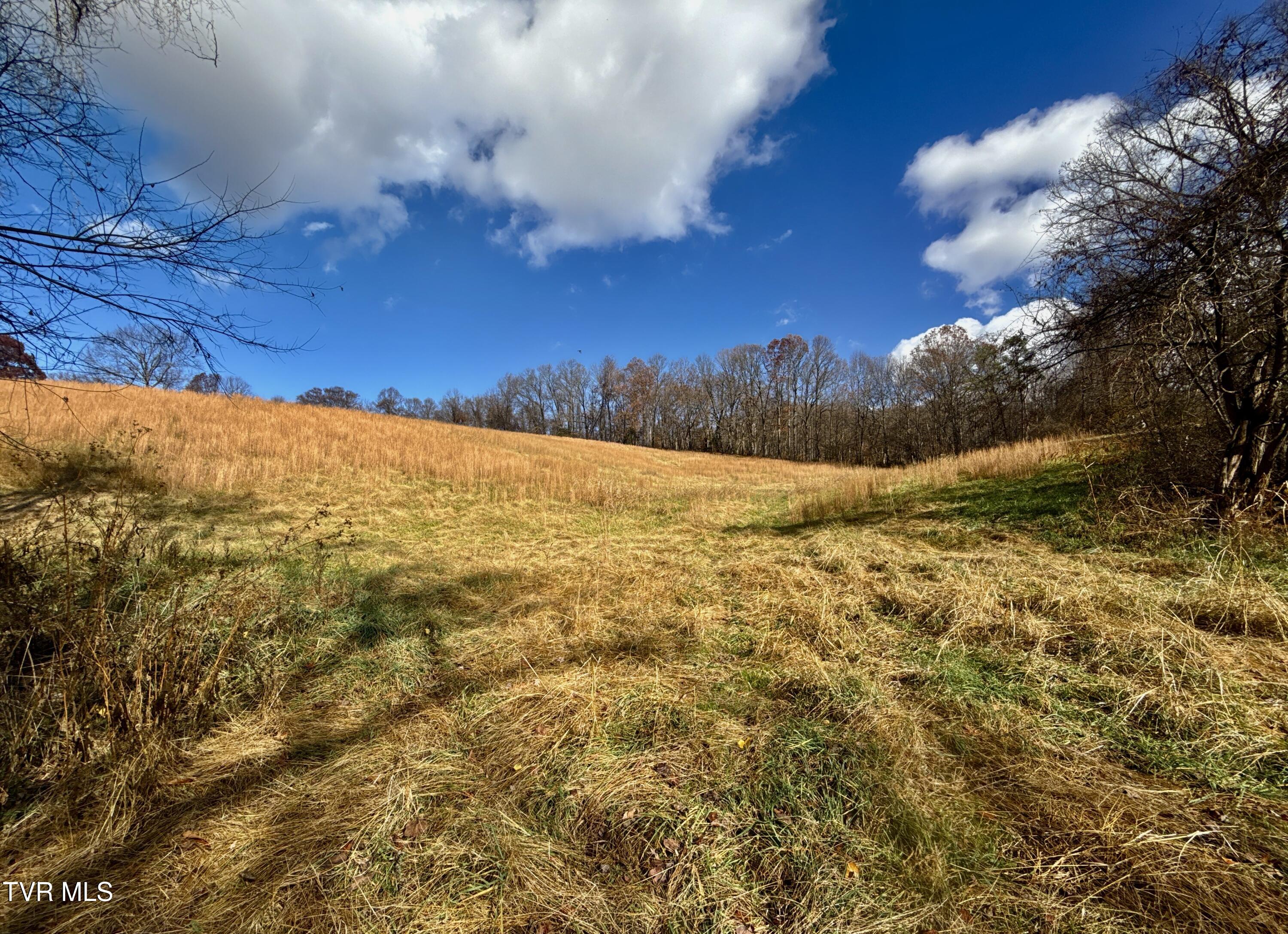 1520 Brittontown Road Afton, TN 37616 - Photo 11 of 85 _Pic12 (21)