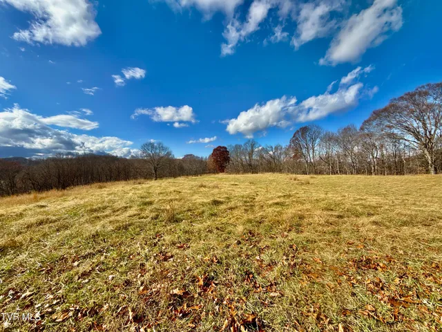 $899,900 | 1520 Brittontown Road, Afton, TN 37616