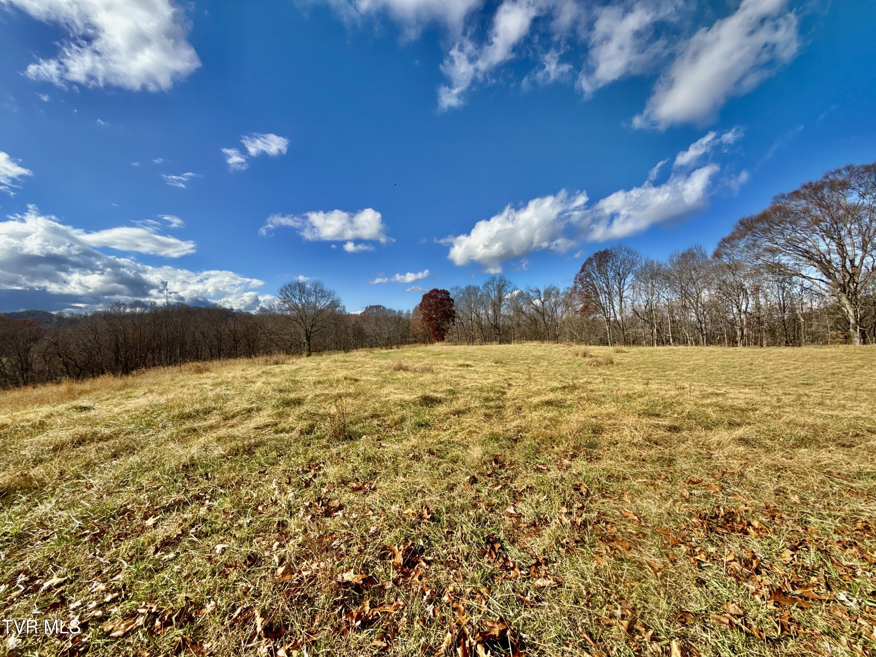 1520 Brittontown Road Afton, TN 37616 - Photo 12 of 85 _Pic13 (23)