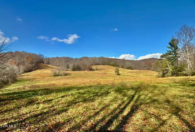 $899,900 | 1520 Brittontown Road, Afton, TN 37616