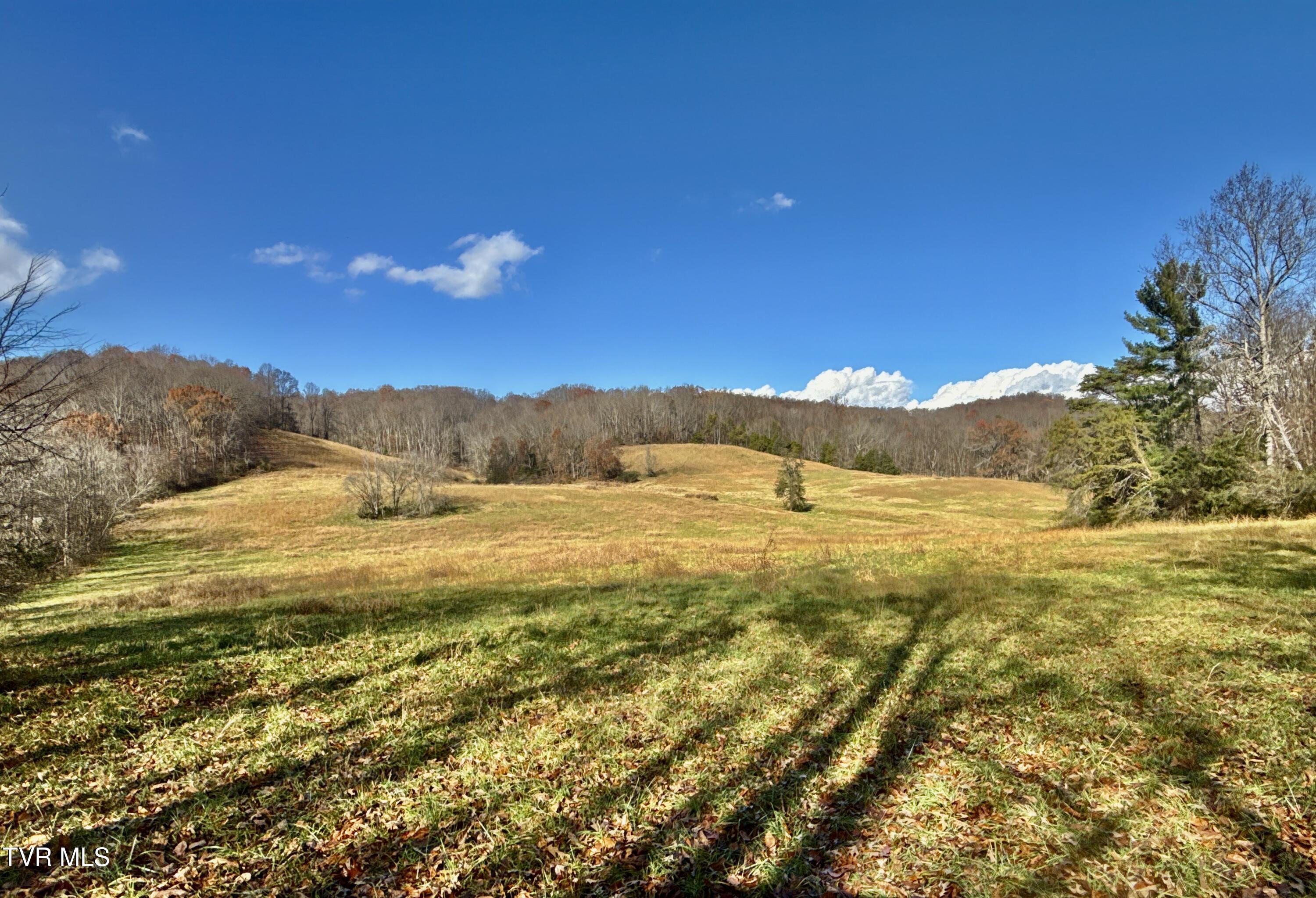 1520 Brittontown Road Afton, TN 37616 - Photo 14 of 85 _Pic15 (21)