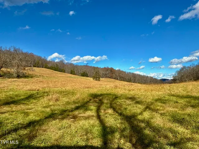 $899,900 | 1520 Brittontown Road, Afton, TN 37616