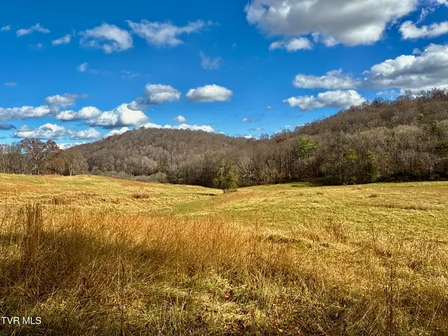 $899,900 | 1520 Brittontown Road, Afton, TN 37616