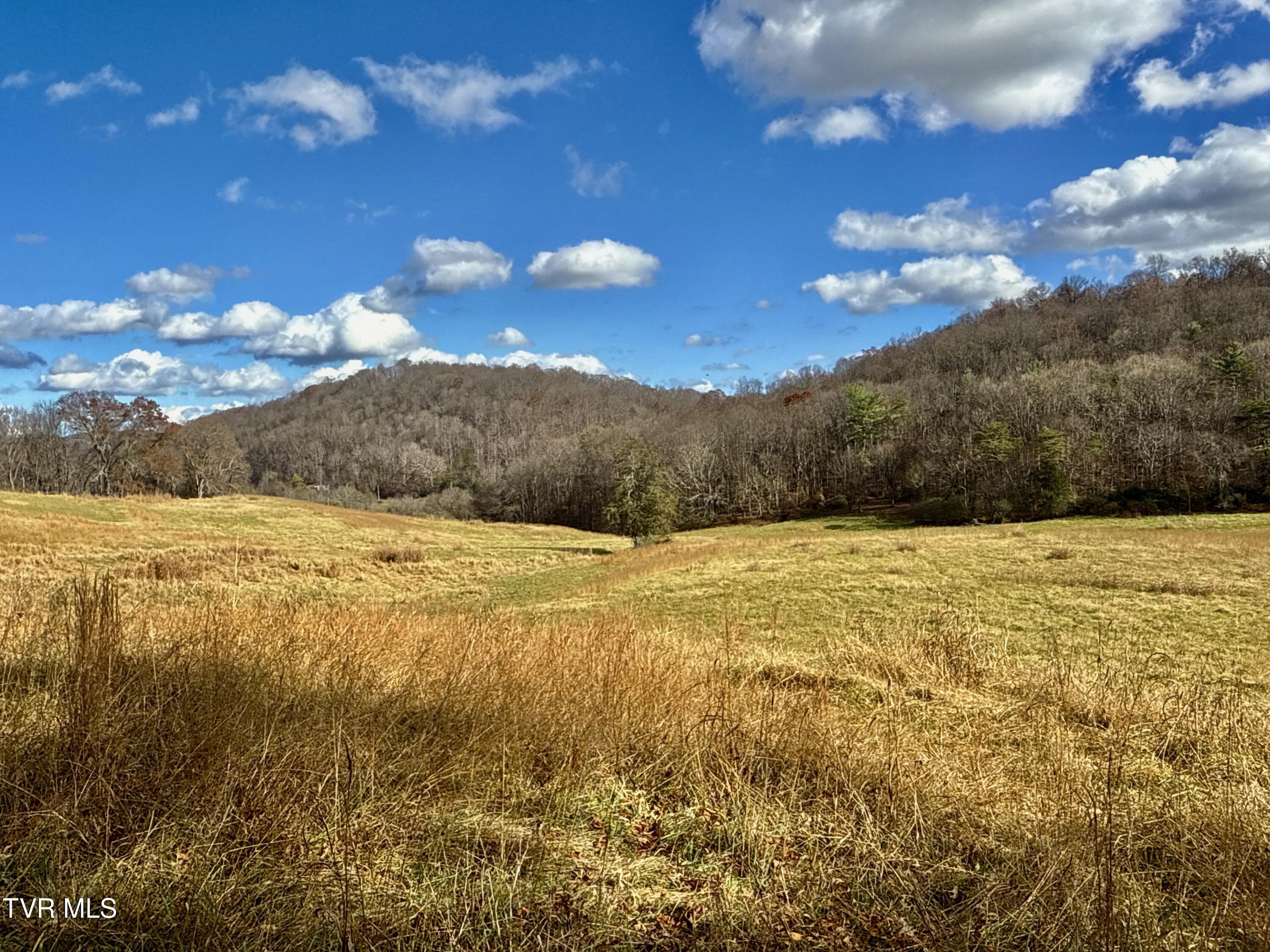 1520 Brittontown Road Afton, TN 37616 - Photo 16 of 85 _Pic17 (23)