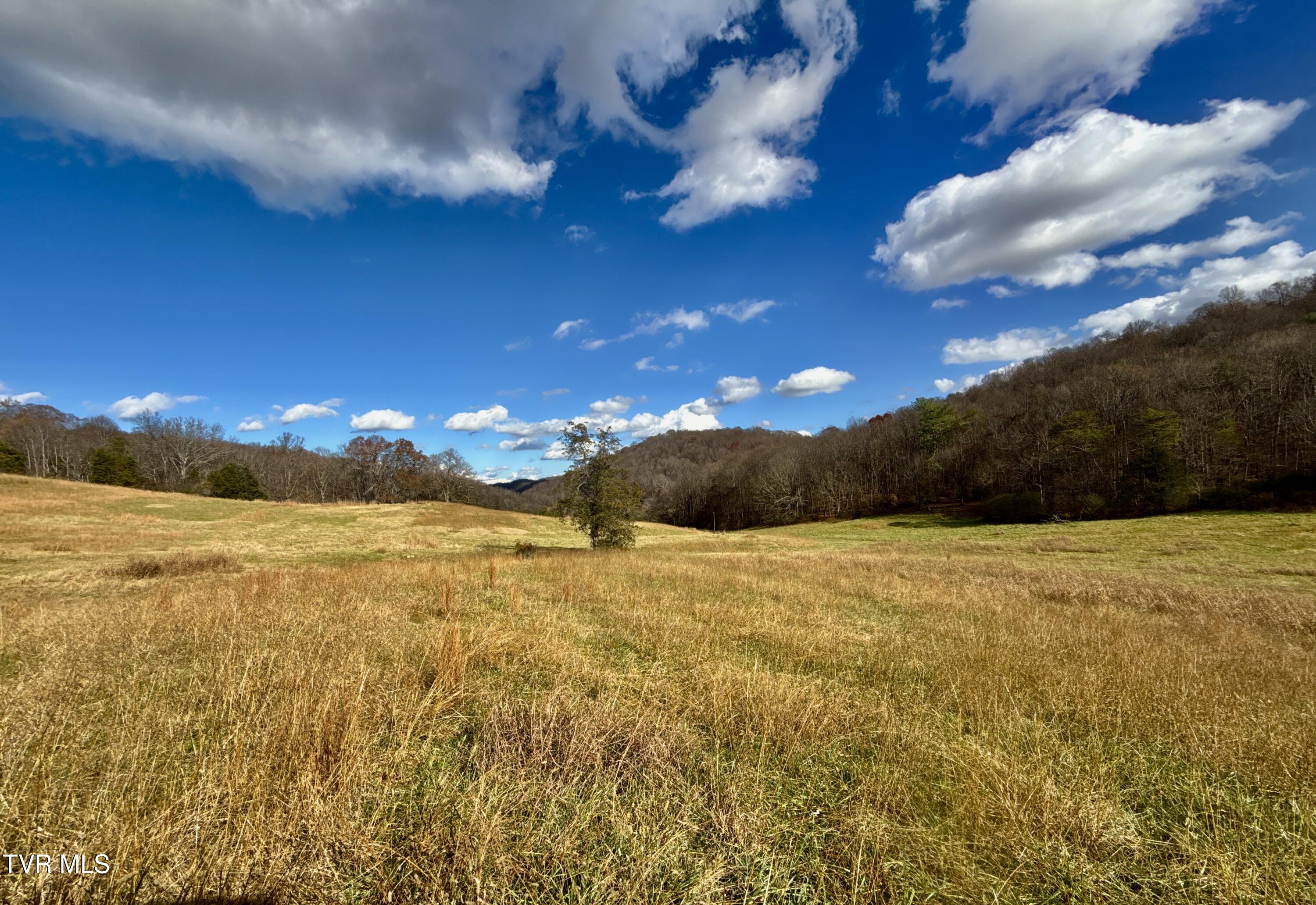 1520 Brittontown Road Afton, TN 37616 - Photo 17 of 85 _Pic18 (22)