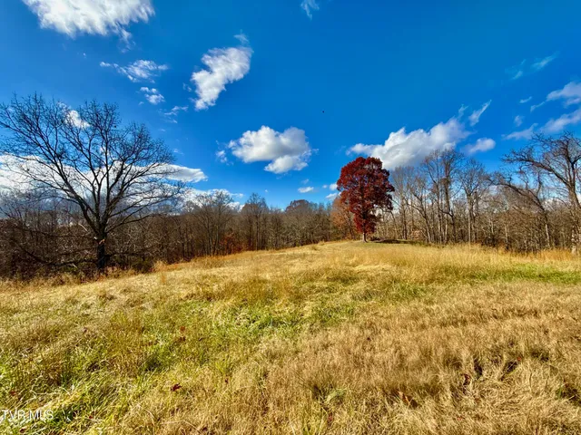 $899,900 | 1520 Brittontown Road, Afton, TN 37616