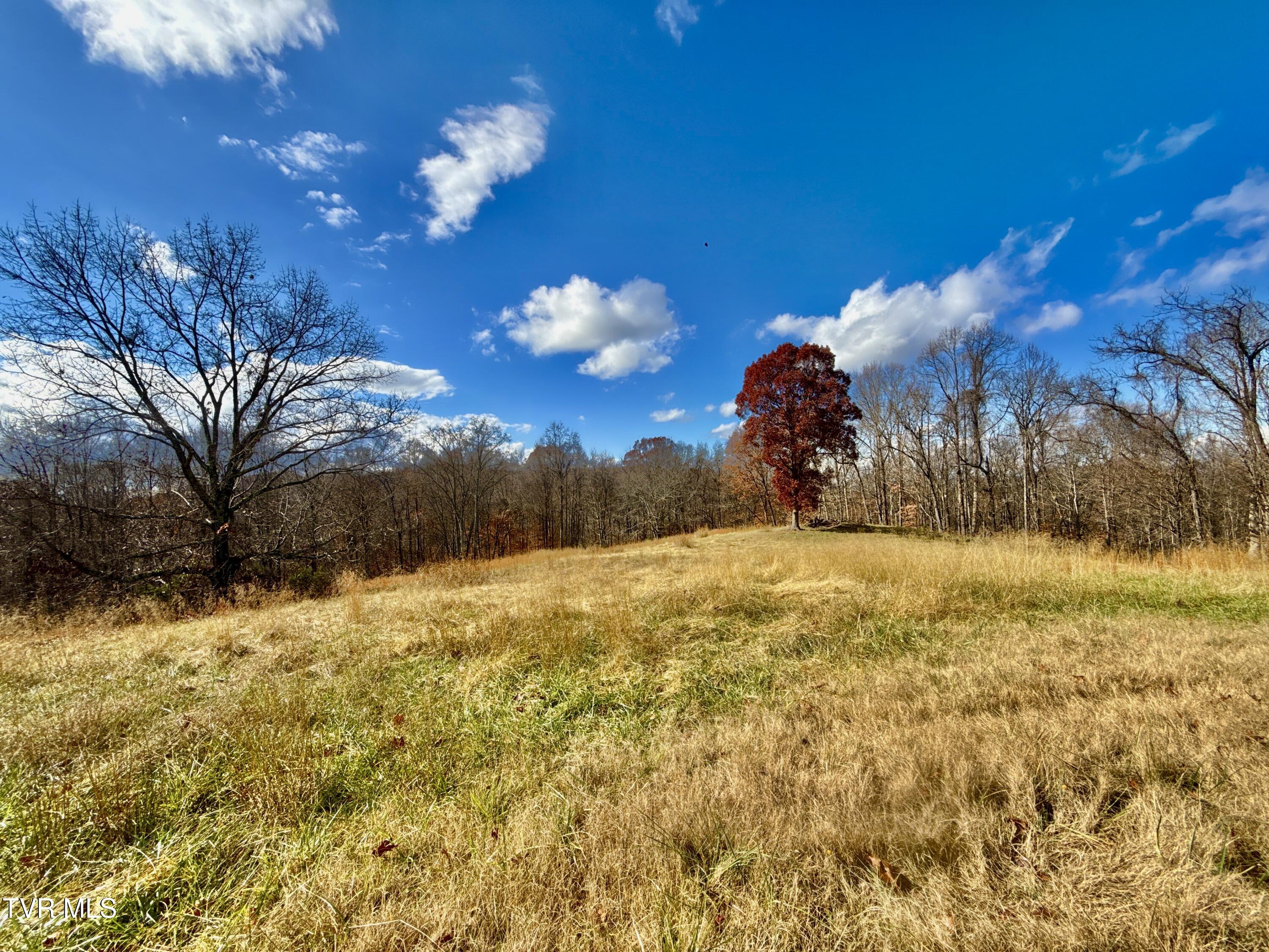 1520 Brittontown Road Afton, TN 37616 - Photo 18 of 85 _Pic19 (23)