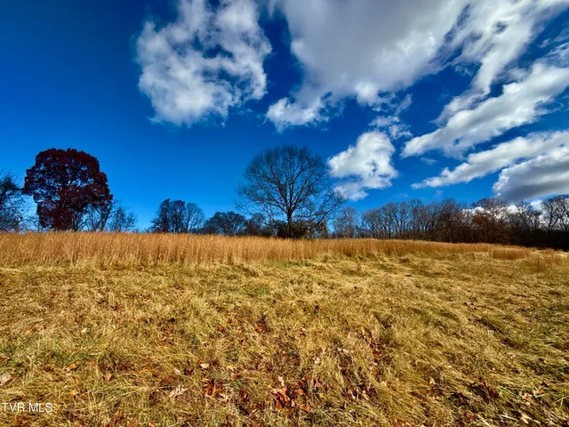 $899,900 | 1520 Brittontown Road, Afton, TN 37616