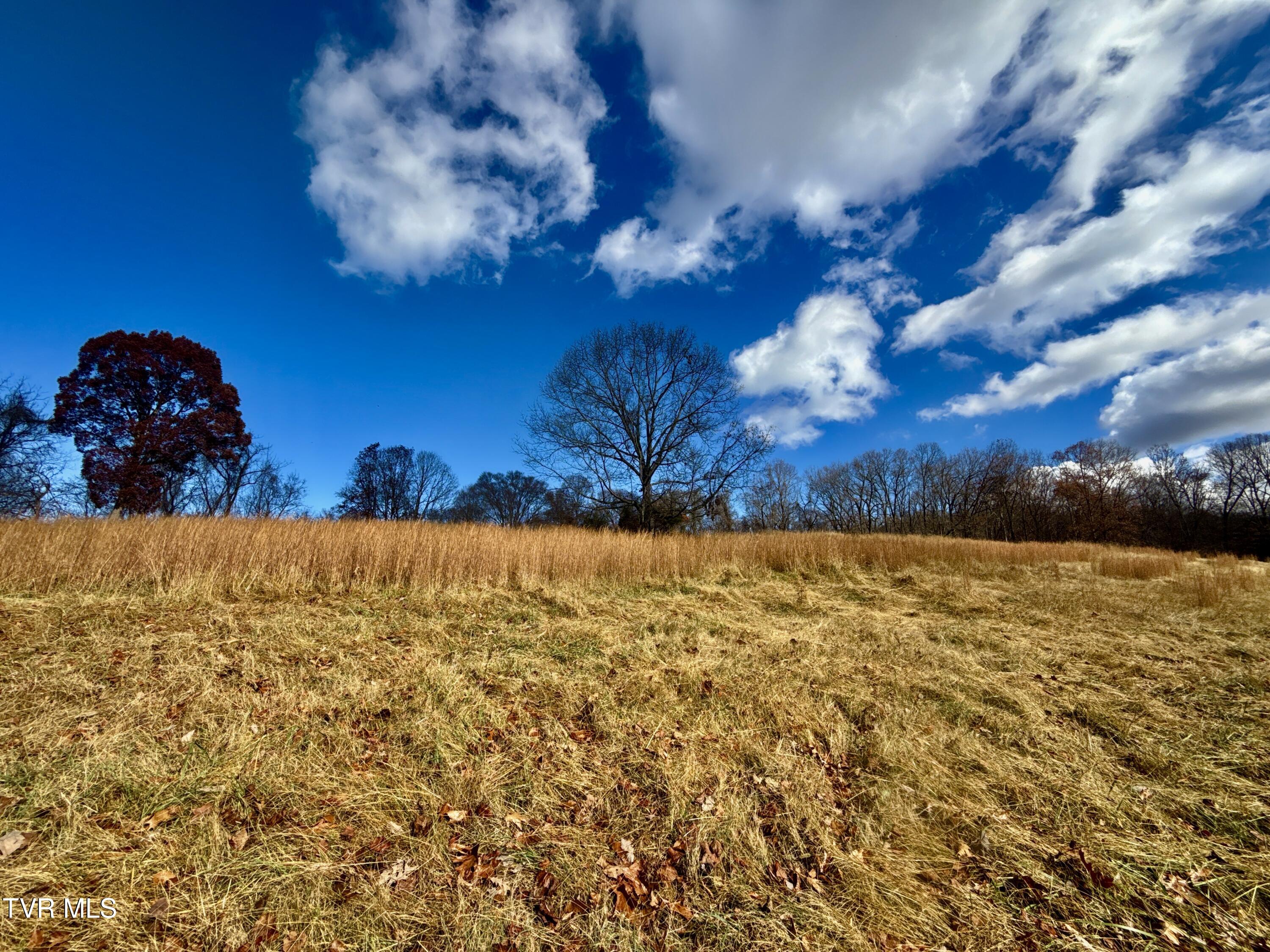 1520 Brittontown Road Afton, TN 37616 - Photo 19 of 85 _Pic20 (22)