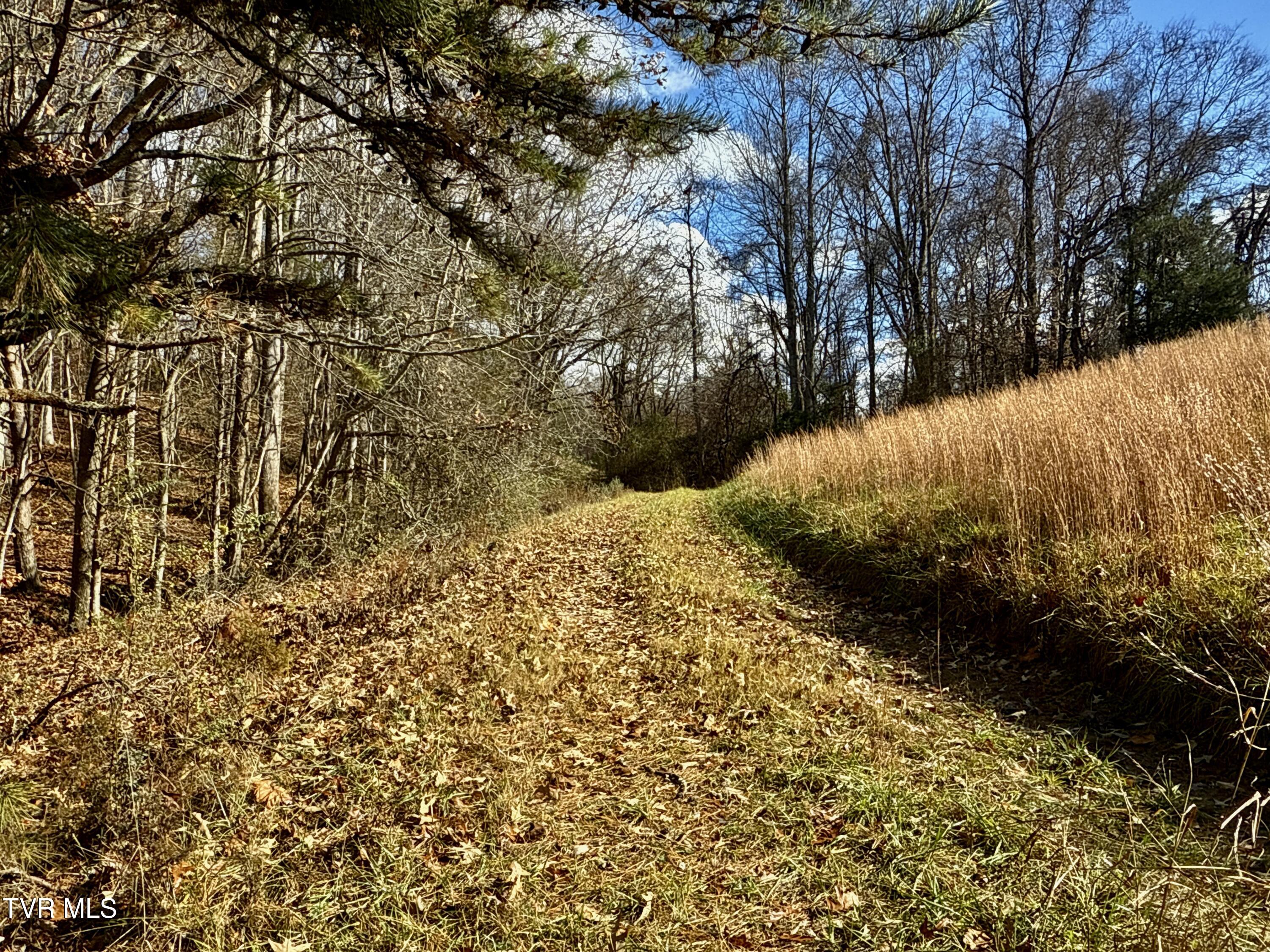 1520 Brittontown Road Afton, TN 37616 - Photo 20 of 85 _Pic21 (22)