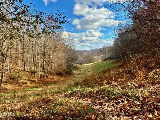 $899,900 | 1520 Brittontown Road, Afton, TN 37616