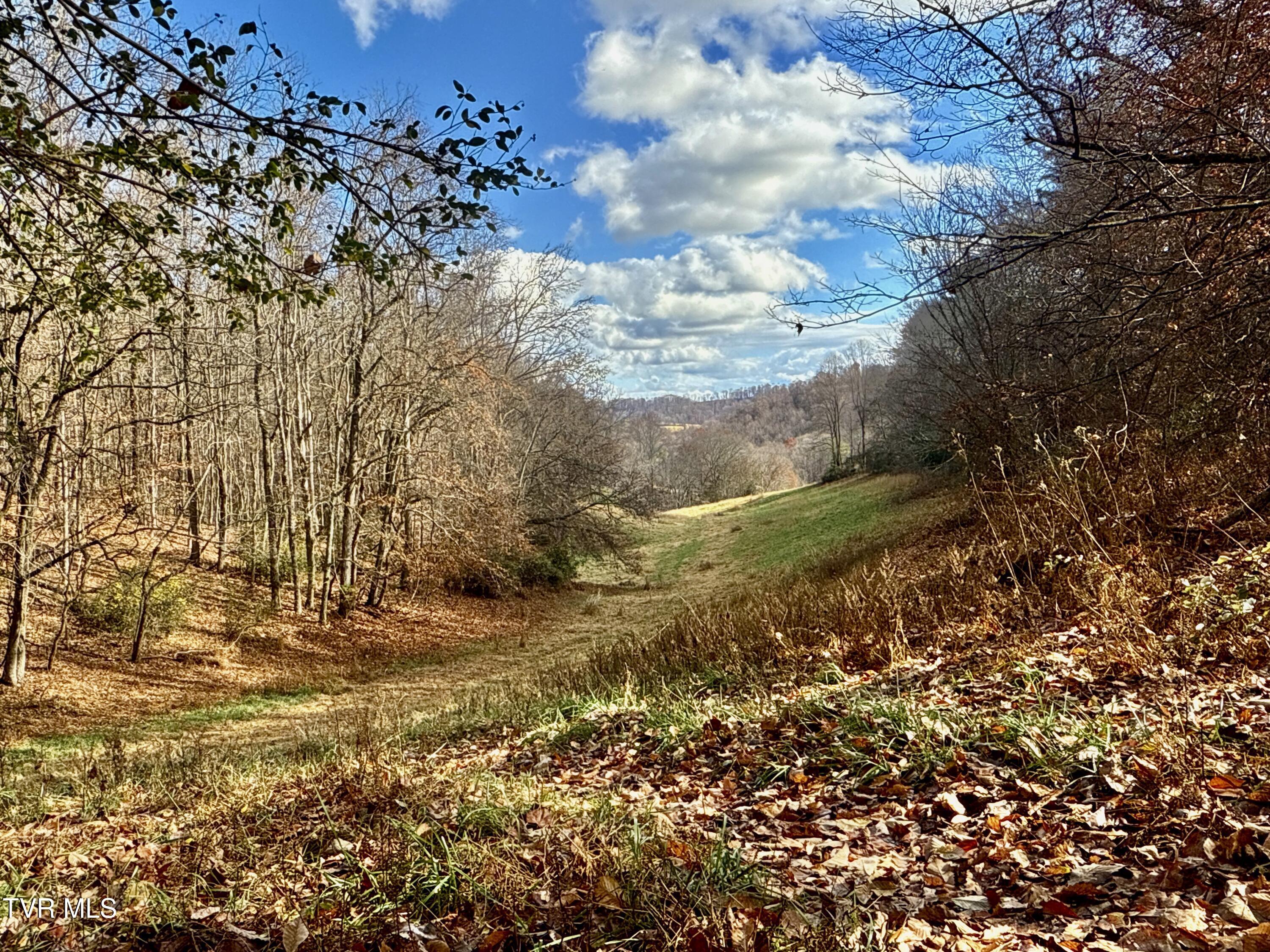 1520 Brittontown Road Afton, TN 37616 - Photo 21 of 85 _Pic22 (21)