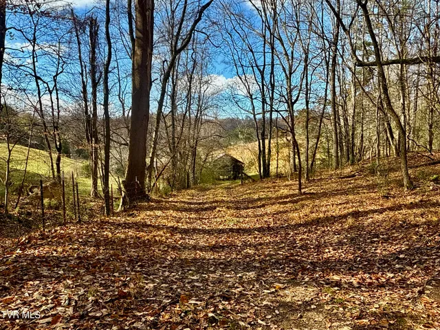 $899,900 | 1520 Brittontown Road, Afton, TN 37616