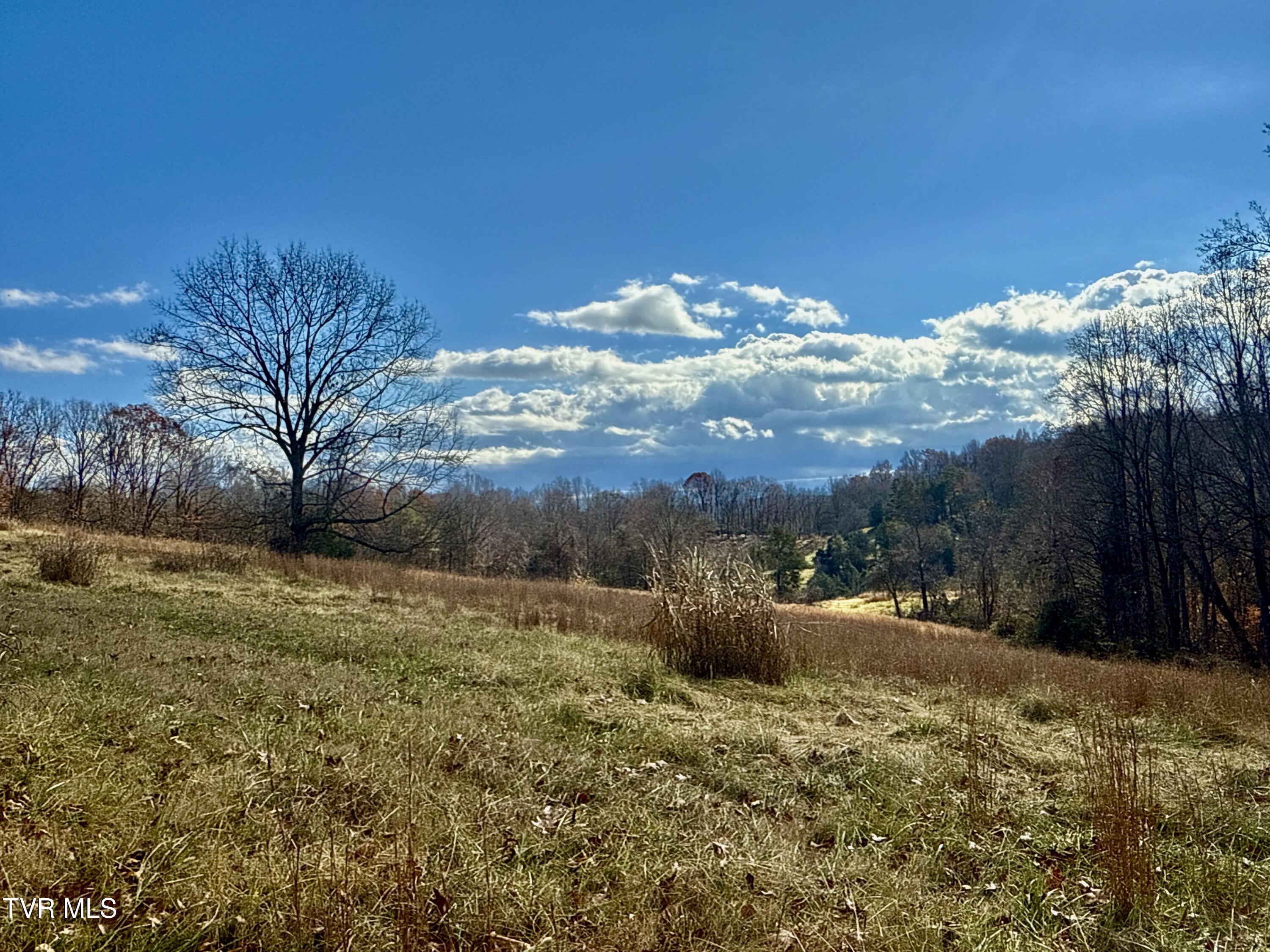 1520 Brittontown Road Afton, TN 37616 - Photo 25 of 85 _Pic27 (17)