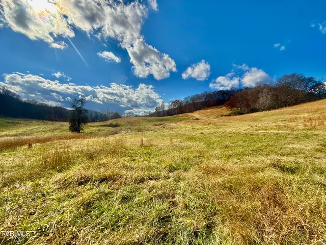 $899,900 | 1520 Brittontown Road, Afton, TN 37616