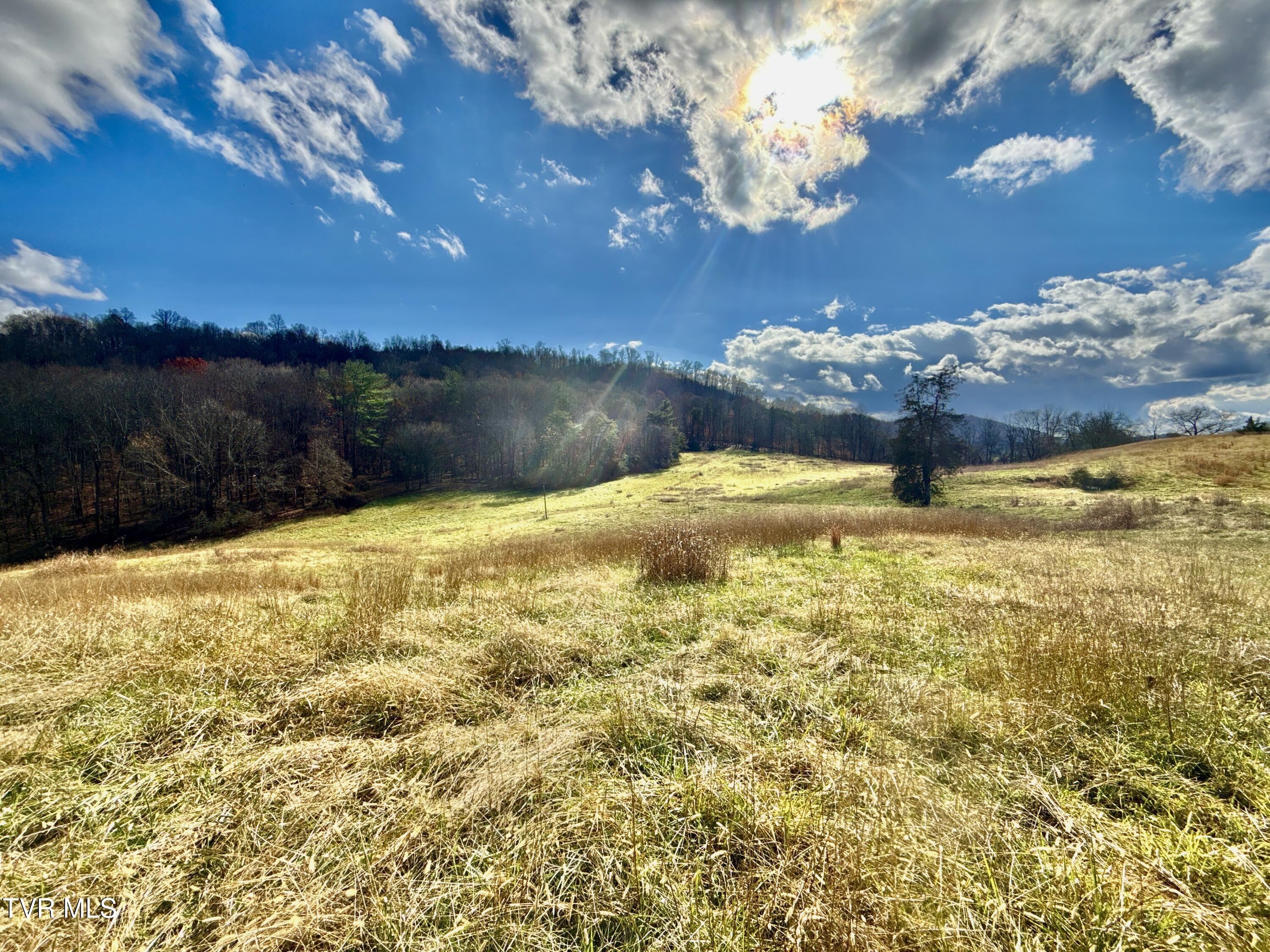 1520 Brittontown Road Afton, TN 37616 - Photo 27 of 85 _Pic29 (17)