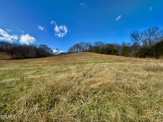 $899,900 | 1520 Brittontown Road, Afton, TN 37616