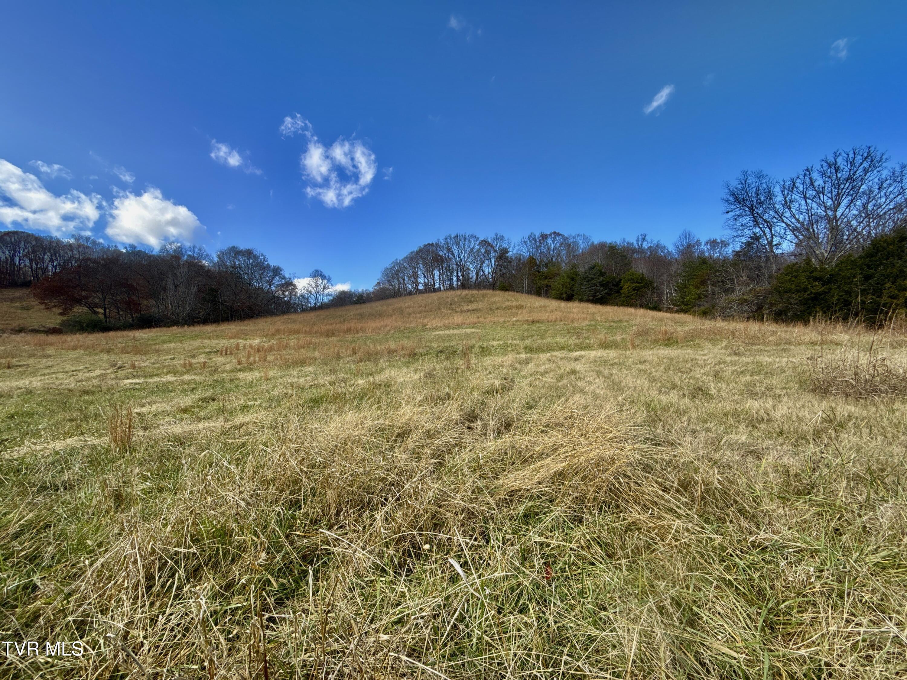 1520 Brittontown Road Afton, TN 37616 - Photo 28 of 85 _Pic30 (15)