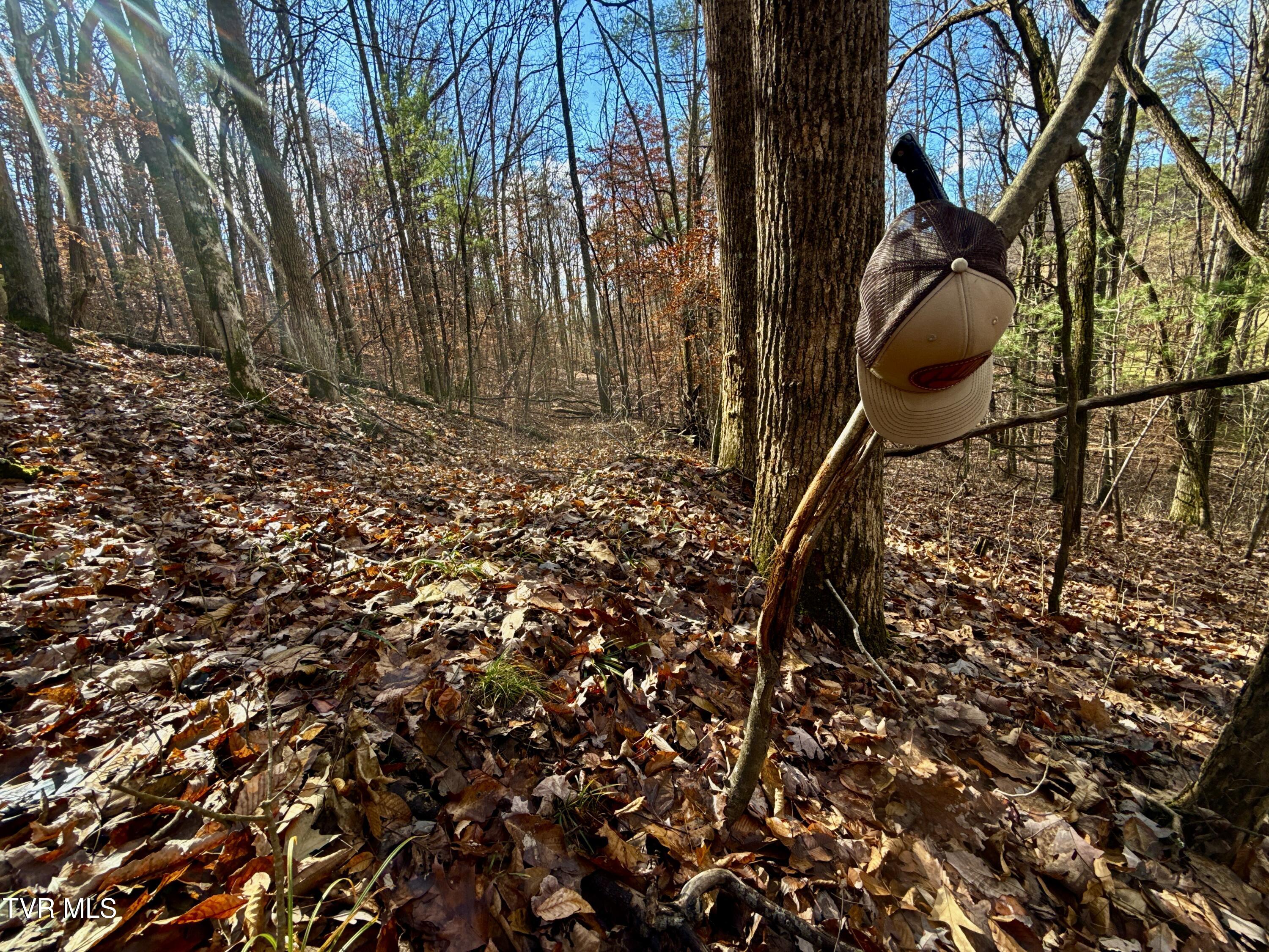 1520 Brittontown Road Afton, TN 37616 - Photo 29 of 85 _Pic50 (25)