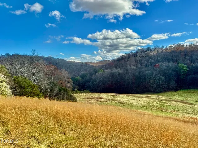 $899,900 | 1520 Brittontown Road, Afton, TN 37616