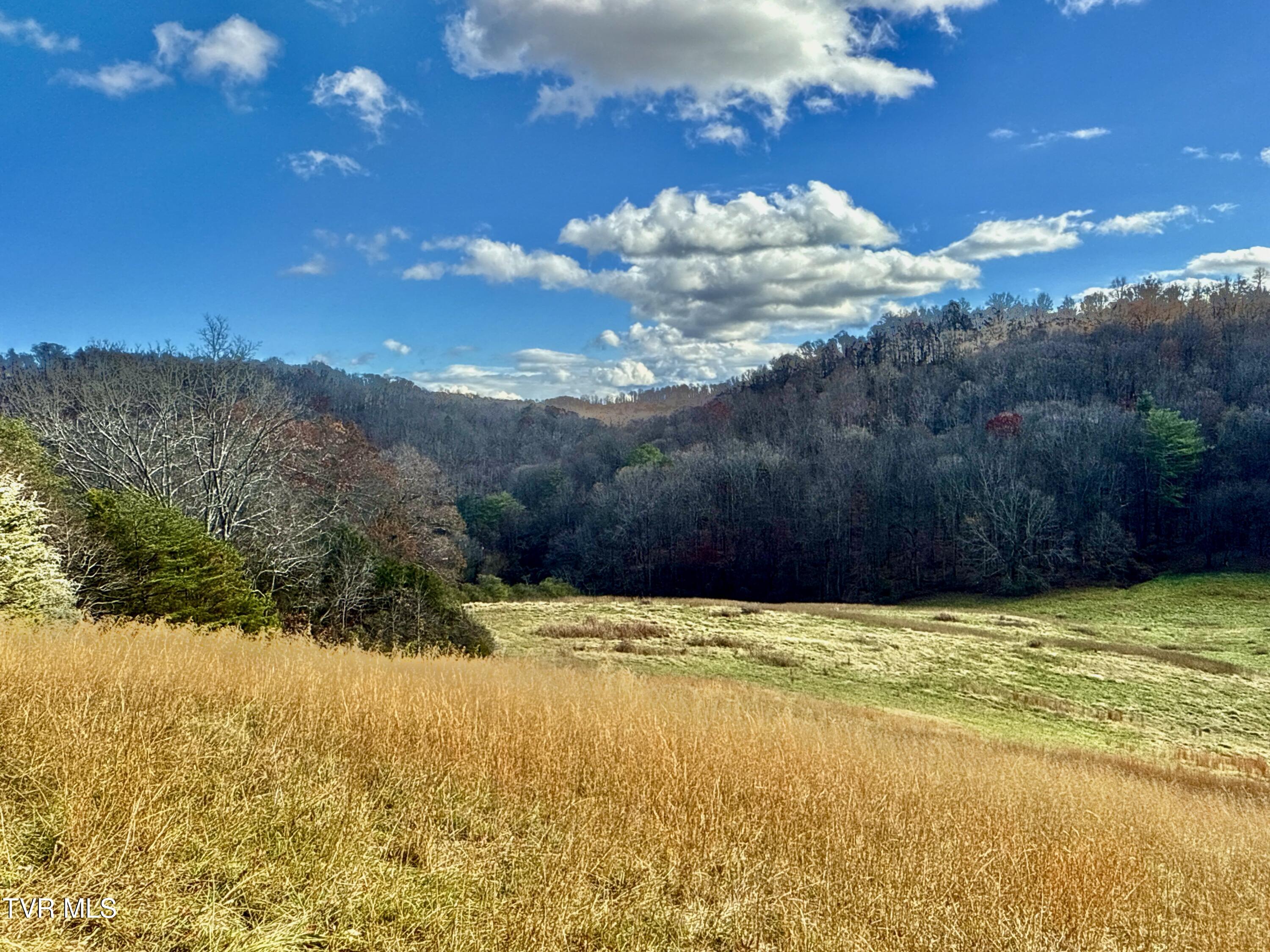 1520 Brittontown Road Afton, TN 37616 - Photo 30 of 85 _Pic31 (16)