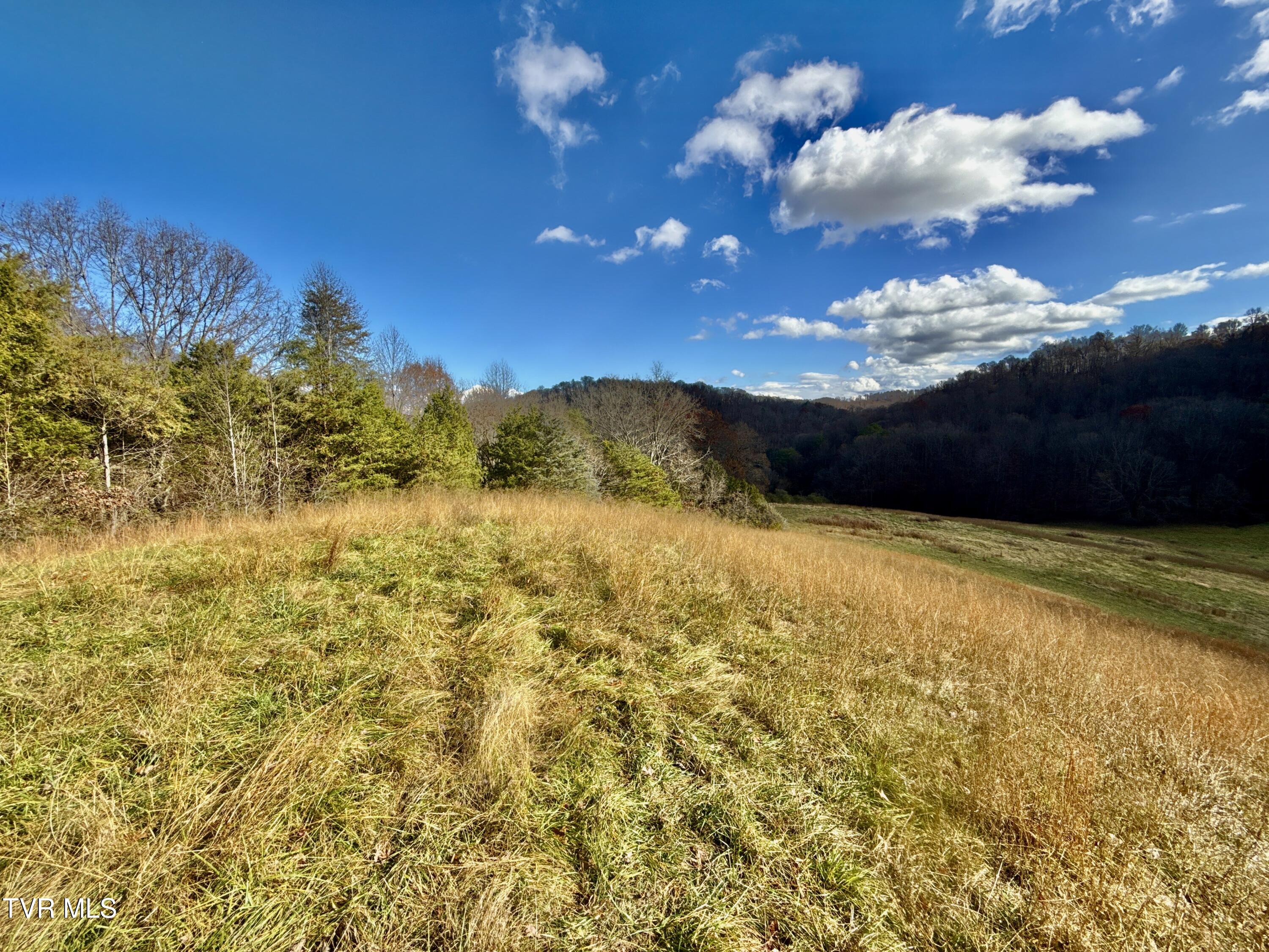 1520 Brittontown Road Afton, TN 37616 - Photo 31 of 85 _Pic32 (13)