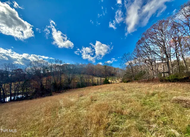 $899,900 | 1520 Brittontown Road, Afton, TN 37616