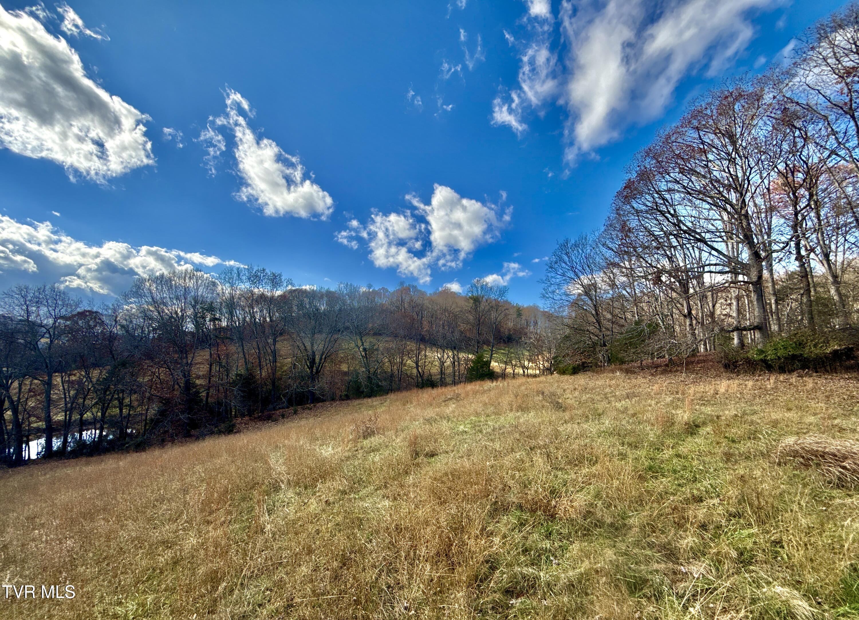 1520 Brittontown Road Afton, TN 37616 - Photo 33 of 85 _Pic35 (16)