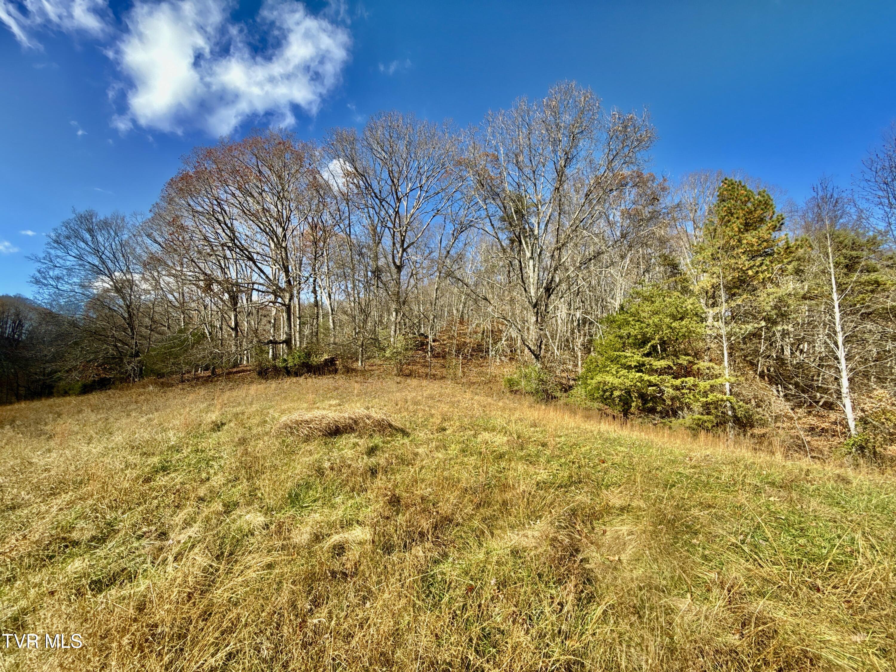 1520 Brittontown Road Afton, TN 37616 - Photo 34 of 85 _Pic33 (14)