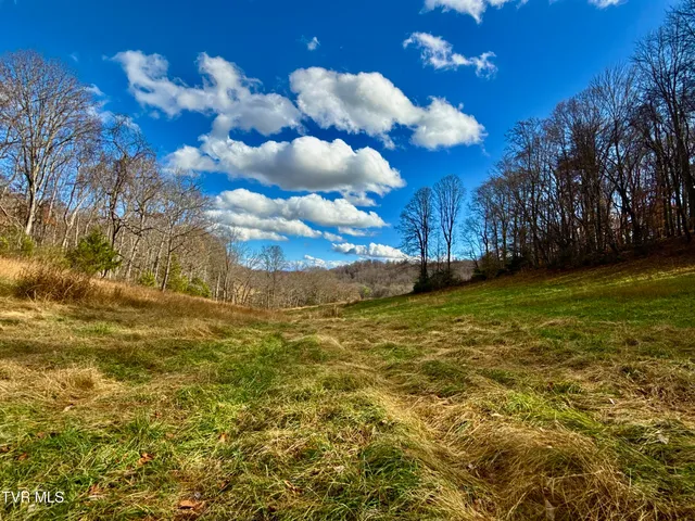 $899,900 | 1520 Brittontown Road, Afton, TN 37616