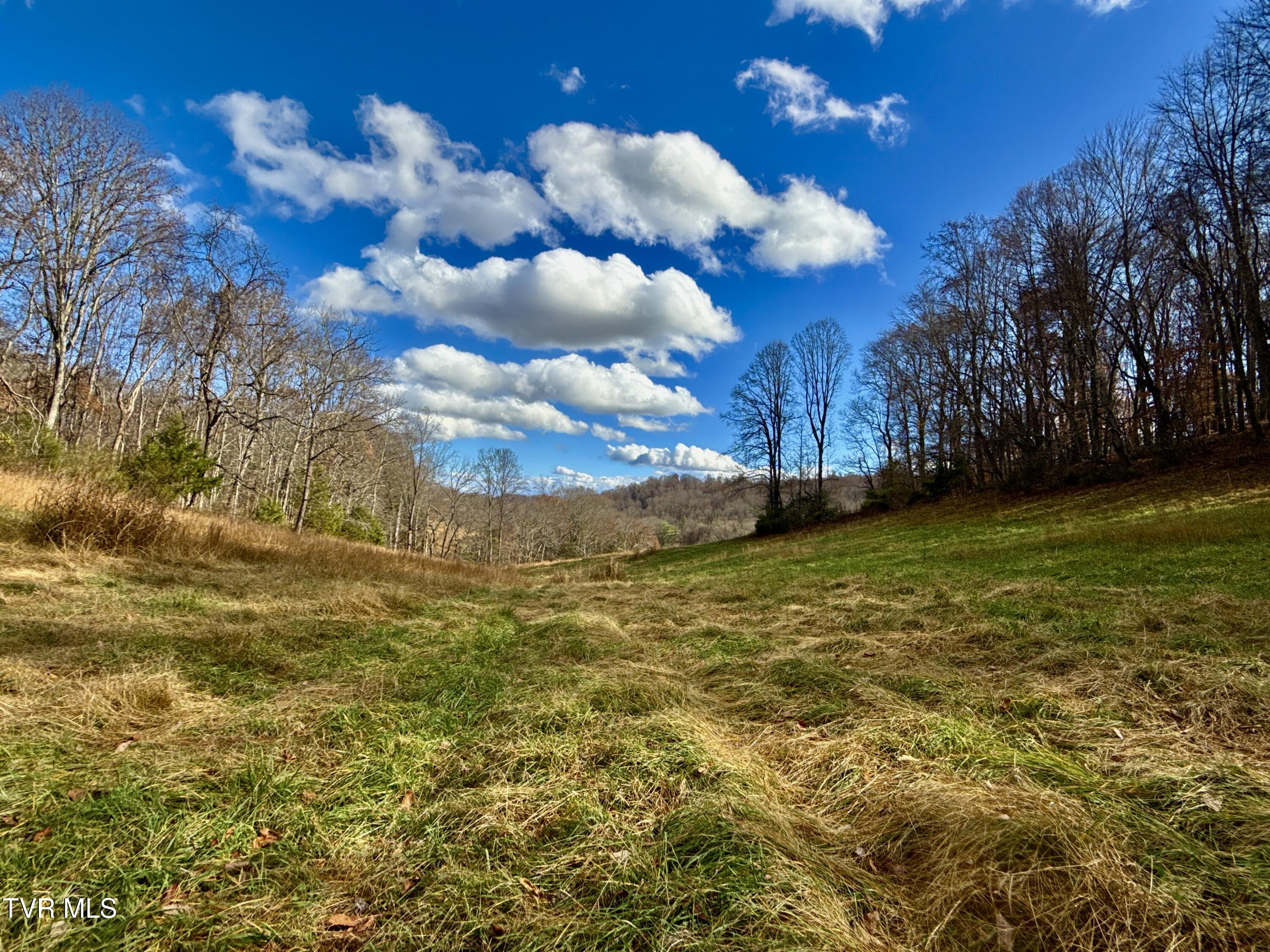 1520 Brittontown Road Afton, TN 37616 - Photo 35 of 85 _Pic36 (15)