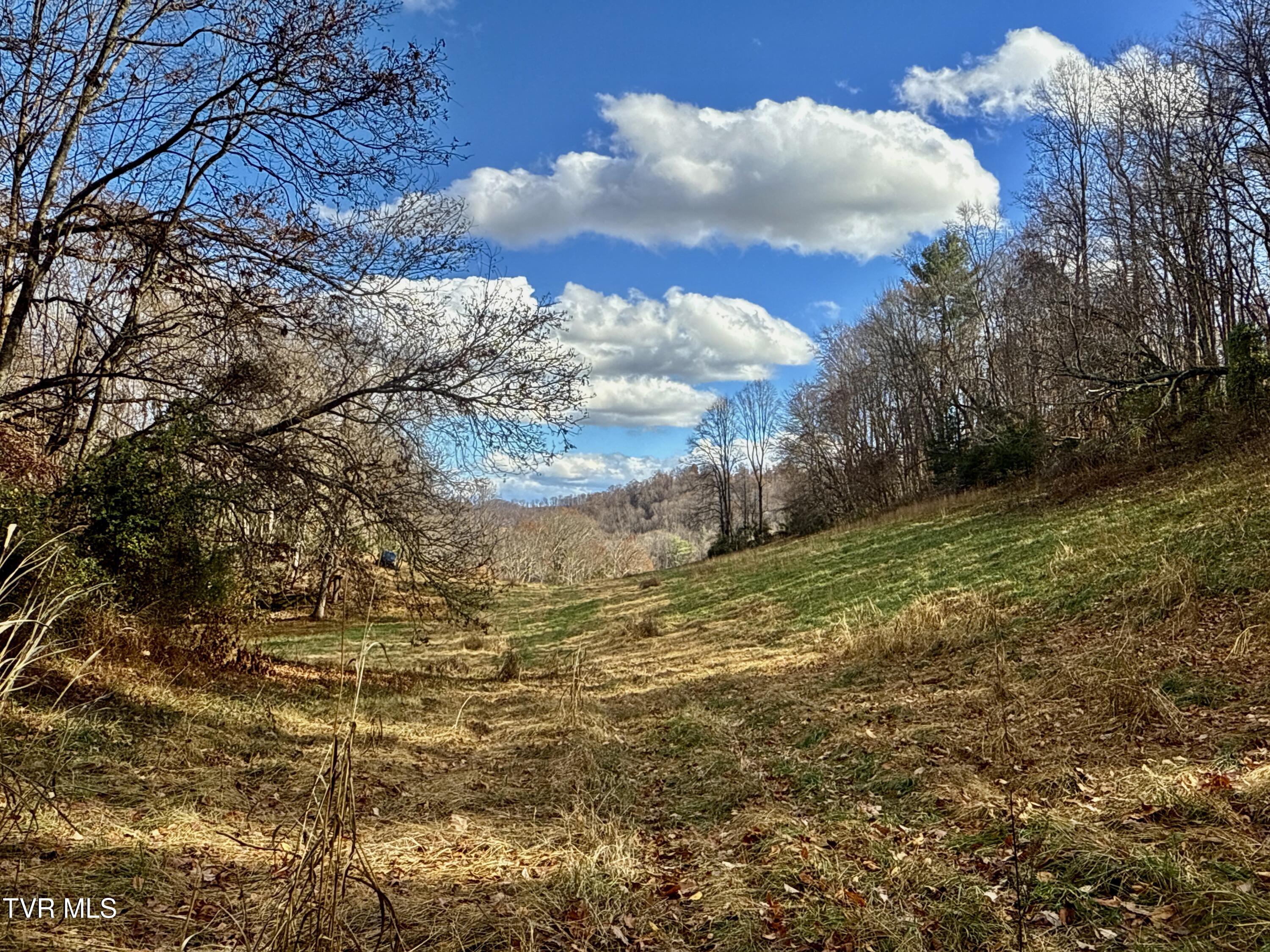 1520 Brittontown Road Afton, TN 37616 - Photo 37 of 85 _Pic37 (13)