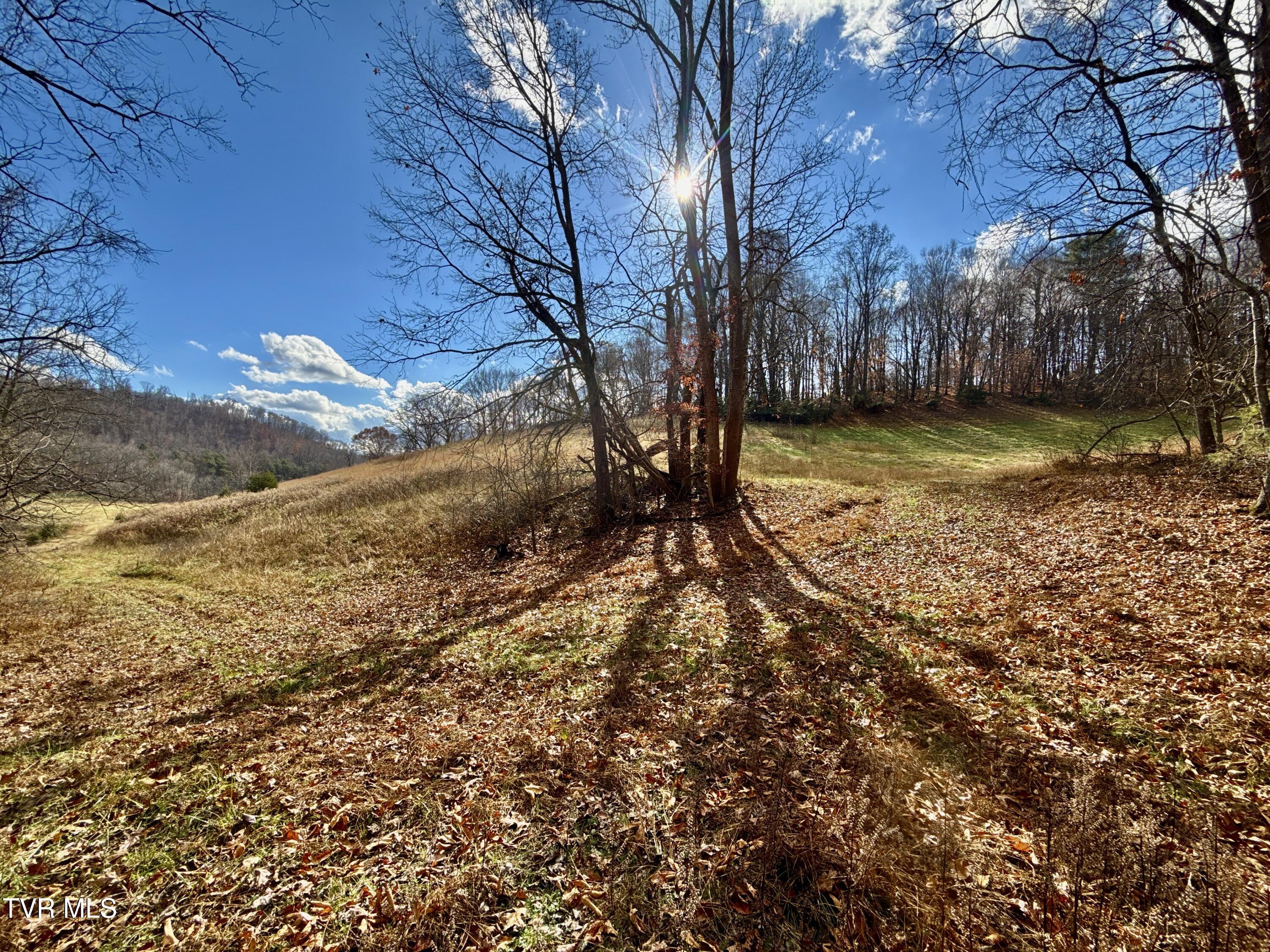 1520 Brittontown Road Afton, TN 37616 - Photo 38 of 85 _Pic40 (12)