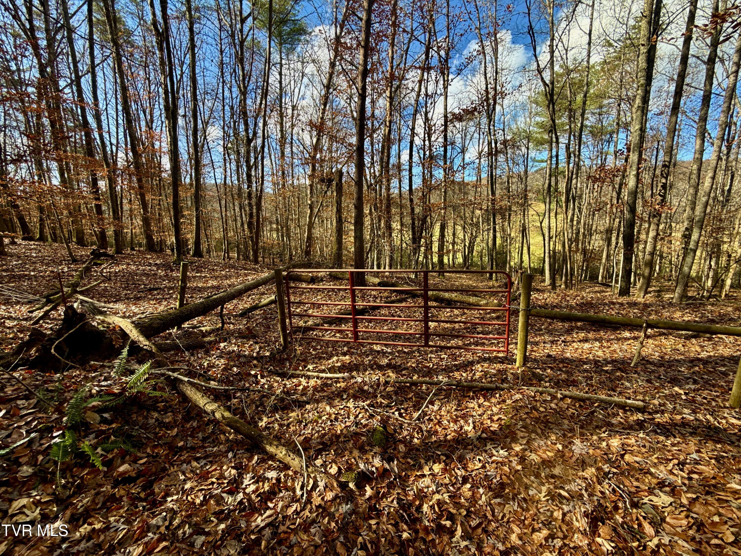 1520 Brittontown Road Afton, TN 37616 - Photo 39 of 85 _Pic41 (12)