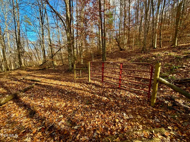 $899,900 | 1520 Brittontown Road, Afton, TN 37616