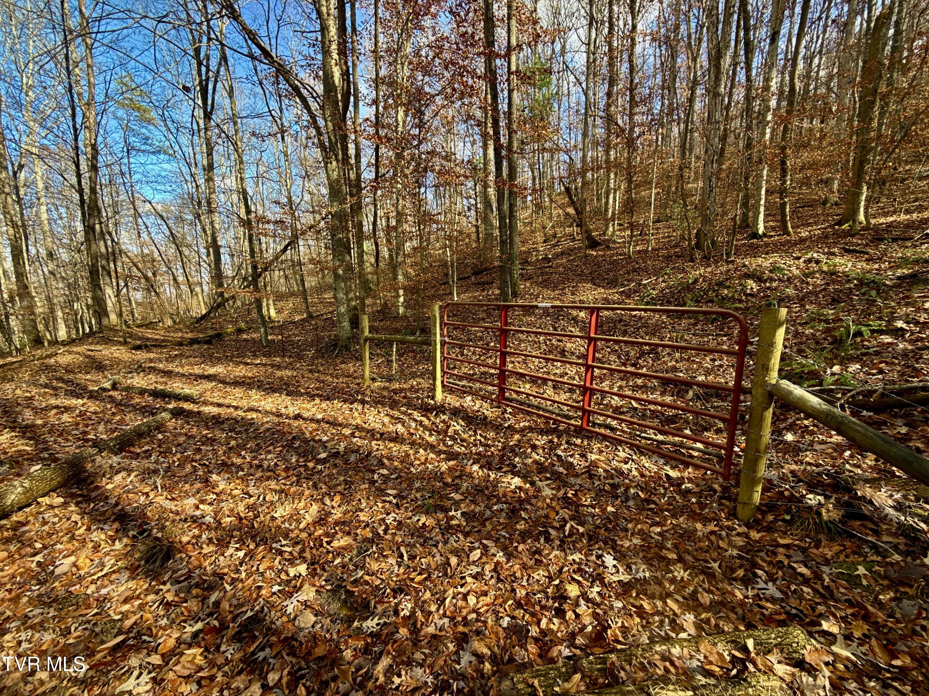 1520 Brittontown Road Afton, TN 37616 - Photo 40 of 85 _Pic42 (11)