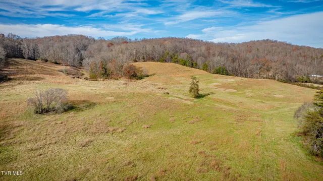 $899,900 | 1520 Brittontown Road, Afton, TN 37616