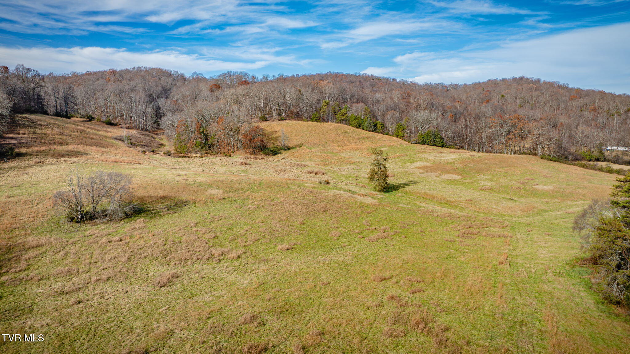 1520 Brittontown Road Afton, TN 37616 - Photo 4 of 85 _Pic4 (26)