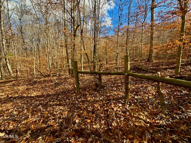 $899,900 | 1520 Brittontown Road, Afton, TN 37616