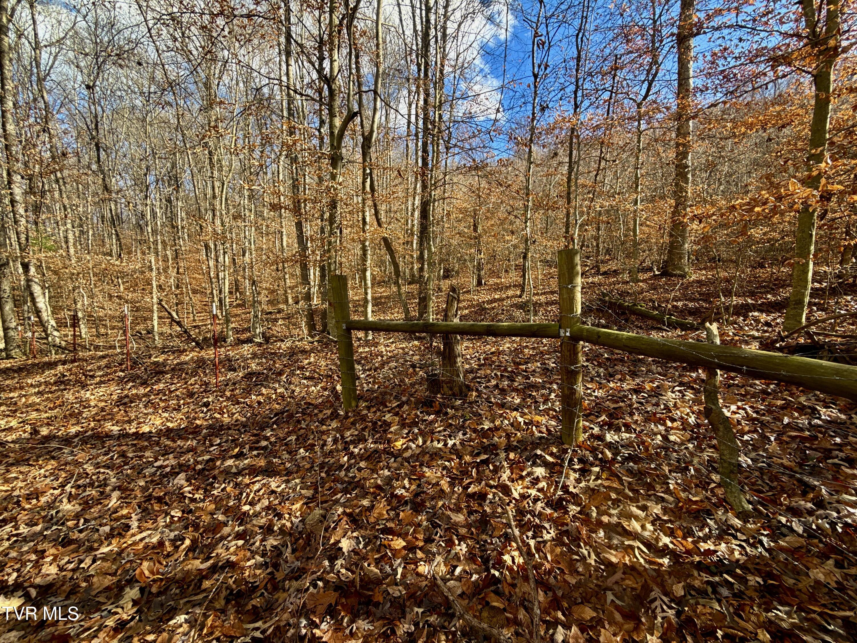 1520 Brittontown Road Afton, TN 37616 - Photo 41 of 85 _Pic43 (10)