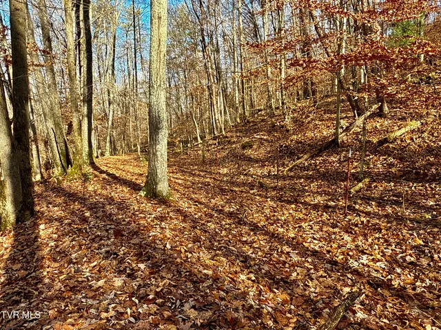 $899,900 | 1520 Brittontown Road, Afton, TN 37616