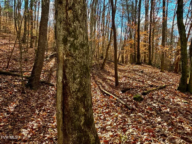 $899,900 | 1520 Brittontown Road, Afton, TN 37616