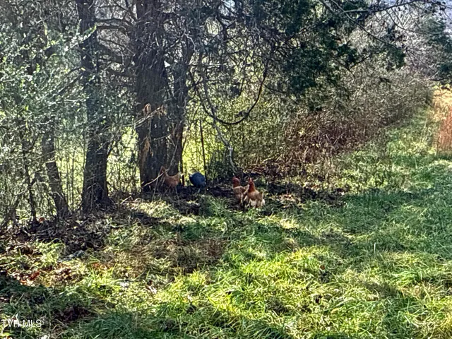 $899,900 | 1520 Brittontown Road, Afton, TN 37616