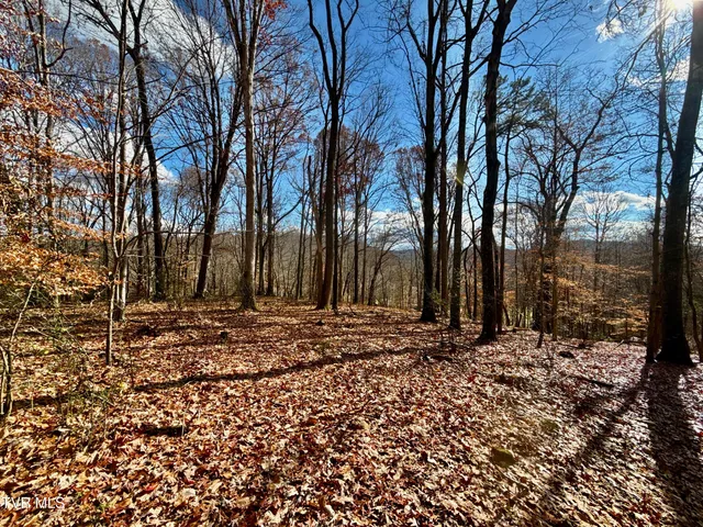 $899,900 | 1520 Brittontown Road, Afton, TN 37616