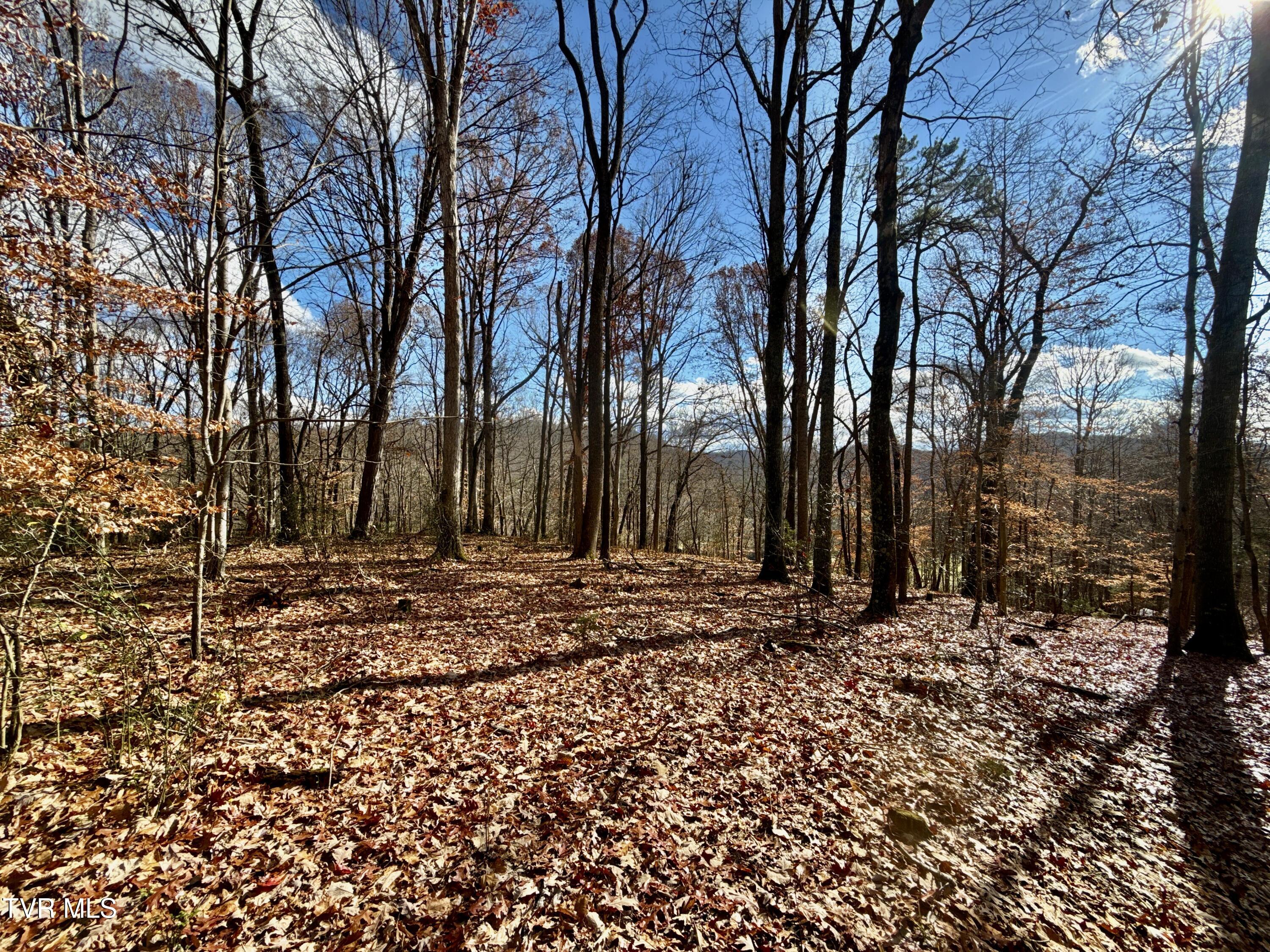 1520 Brittontown Road Afton, TN 37616 - Photo 46 of 85 _Pic47 (10)