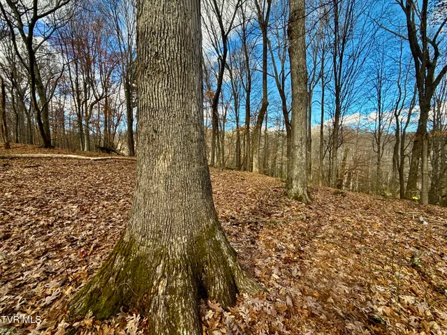 $899,900 | 1520 Brittontown Road, Afton, TN 37616