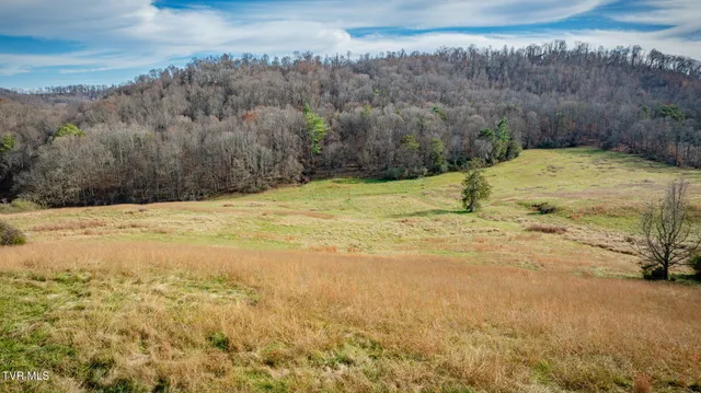 $899,900 | 1520 Brittontown Road, Afton, TN 37616