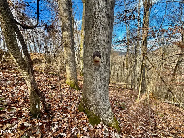 $899,900 | 1520 Brittontown Road, Afton, TN 37616